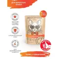 Корм влажный для кошек и котят Бест Диннер (Best DInner) Холистик мясо филе тунца с креветками в соусе, пауч (18шт*70гр)