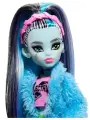 Кукла Monster High «Creepover Party Frankie» HKY68