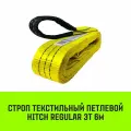 Строп HITCH REGULAR текстильный петлевой СТП 3т 6м SF6 75мм