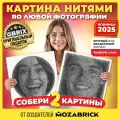 QBRIX Картина нитями по фото 2 основы 37х37 (подарочный набор для создания картины нитью из фотографии)