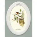 Картина в овальной деревянной раме с лепниной Птички