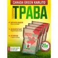 Газонная трава Канада Грин Низкорослая Карлито 20 кг / Canada Green Karlito / семена газона мятлик, овсяница