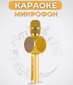 Беспроводной караоке - микрофон с колонкой/ Gold