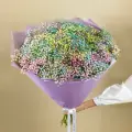 Букет из радужной гипсофилы 9 штук / Гипсофила радужная/ Доставка букетов по Москве
