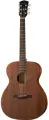 S22M-NS Акустическая гитара, с чехлом, матовая, Parkwood