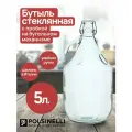 Бутыль стеклянная 5 л, для хранения вина, брожения винных напитков и для транспортировки жидкостей.
