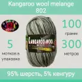 Пряжа Color City Kangaroo wool melange 802 (100г/300м, упаковка 5 мотков)