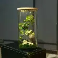 Левитирующий большой флорариум Терра Трио с живым мхом - парящий сад в невесомости