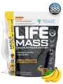 Tree of Life Life Mass Premium Mass Gainer 1000 г (Дыня)