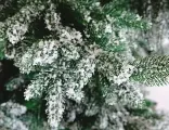 Искусственная елка Шотландия заснеженная 230 см, литая 100%, CRYSTAL TREES