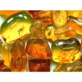 AAM0003 Янтарь c очень редкими инклюзами