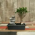 Бонсай Фикус с водопадом камни 35см