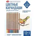 Мастер-Класс Профессиональные цветные карандаши для рисования набор Анималистика 13 цветов