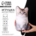 Антистресс игрушка «Котик Сибиряк»