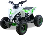 Квадроцикл Motax GEKKON 90cc Бело-зеленый