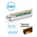 Лампочка светодиодная AVANLED 30Вт 4000К 3000Лм G13 1200мм 11112405 (комплект из 2 шт.)