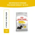 Сухой корм для собак мелких пород Royal Canin Mini Dermacomfort при раздражении и зуде кожи, 1 кг