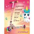 Самокат двухколесный CITYRIDE, складной, колеса PVC 120/120, выдвижной руль, CR-S2-09LUN