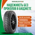 Шины зимние DoubleStar DW01 225/45 R17 94 T Резина легковая имп