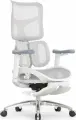 Ортопедическое компьютерное кресло для дома и офиса Falto Scala Office GY