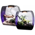 Террариум LUCKY REPTILE Life Box, фиолетовый, 35х20х35см, 14 литров (Германия)
