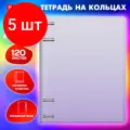 Комплект 5 шт, Тетрадь на кольцах А5 175х220 мм, 120 л, пластик, с разделителями, BRAUBERG, Фиолетовый, 404627