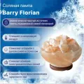 Солевая лампа настольная Barry Florian (гималайская соль), светильник настольный, ночник детский
