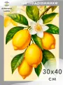 Алмазная мозаика на подрамнике Лимоны30х40