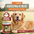 Консервы DOG LUNCH для собак мясное ассорти в желе 750г (Упаковка 12шт)
