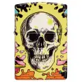 Зажигалка ZIPPO Skull Design с покрытием Glow In The Dark Green,латунь/сталь,разноцветная38x13x57 мм