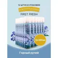Освежитель воздуха аэрозольный First Fresh Горный ручей, 300мл (1725286), 12шт.