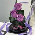 Трио «Премиум» лиловые розы в колбе - живет 5 лет! В подарочной коробке с вау-эффектом/27 см