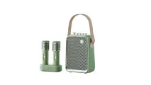 Беспроводная колонка Divoom SongBird-HQ 2 зеленый