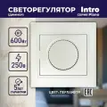 Светорегулятор Intro Plano 1-401-06 (диммер) поворотный, 600Вт 230В, IP20, СУ, перламутр арт. Б0053939 (1 шт.)