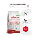 Корм сухой Alleva Equilibrium Chicken Kitten для котят с курицей, 5 кг