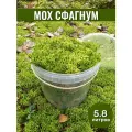 Мох сфагнум свежий лесной 5,8л