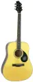 Акустическая гитара Greg Bennett GD100S/N