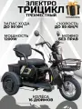 Трехместный электротрицикл для взрослых Leopard, 1200W, R16, 50 км/ч, черный