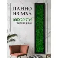 Панно из стабилизированного мха 100*20 см, большая настенная картина для интерьера, для дома и комнаты