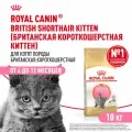 Сухой корм Royal Canin British Shorthair Kitten для котят британской короткошерстной породы Птица, 10 кг.