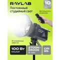 Осветитель светодиодный Raylab RL-100LED 2700-6500K с пультом
