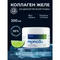 PROFICOLL / Коллаген натуральный для суставов, гидролизованный, желе со вкусом Мохито