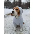 Одежда для собак Толстовка флисовая термо