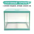 MCLANZOO Террариум стеклянный с верхней крышкой, зелёный, 20х20хН15см
