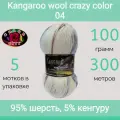 Пряжа Color City Kangaroo wool crazy color 04 (100г/300м, упаковка 5 мотков)