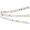 Светодиодная лента Arlight 5m RT-B60-10mm 24V RGBW-Warm 14.4 W/m, IP20, 5060, Открытый