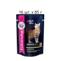 Влажный корм для пожилых кошек Eukanuba Top condition Senior 7+, c курицей, 16 шт. х 85 г (кусочки в соусе)