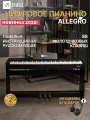 Цифровое пианино в корпусе MusicHall Allegro, MIDI, с молоточковой взвешенной клавиатурой, черный