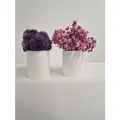 Гипсовые кашпо Лилия с мхом и цветами от бренда Stabflora, 2 шт