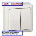 12шт. - ХИТ Выключатель двухклавишный наружный 250В 6А белый / Systeme Electric; арт. VA56-232-B; оригинал / - цᴇʜᴀ зᴀ 12шт